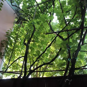  Hostel Old Sololaki